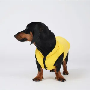 lightweight padding vest for dachshund - yellow - xl left!